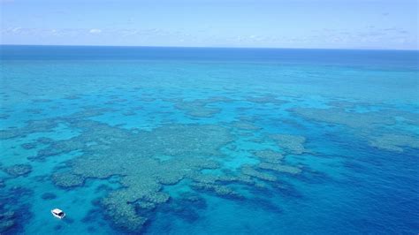 Great Barrier Reef Pro Dive Magnetic Island