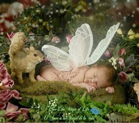 Baby Fairy Homes Baby Fairy Fairy Angel Fairies Angels Special