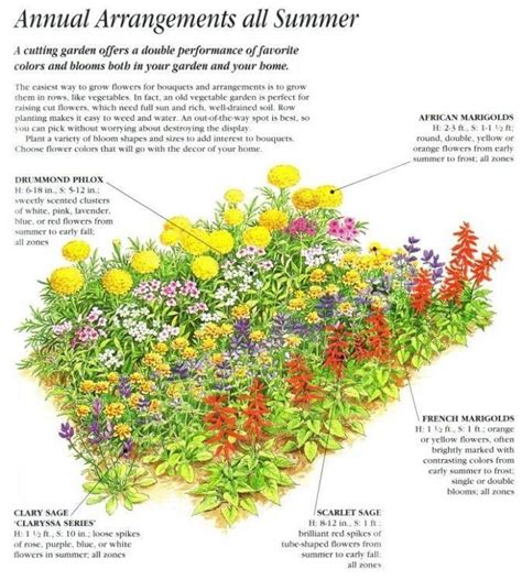 This Is How Flower Garden Layout Will Look Like In 12 Years Time