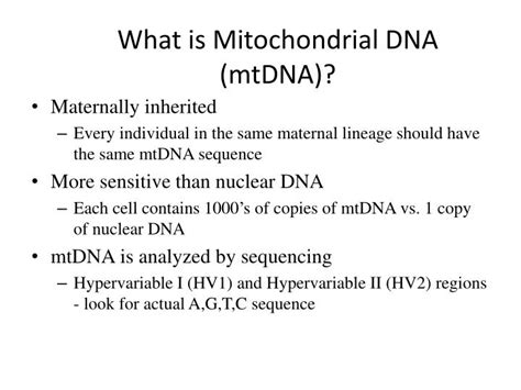 Ppt What Is Mitochondrial Dna Mtdna Powerpoint Presentation Free Download Id2692029