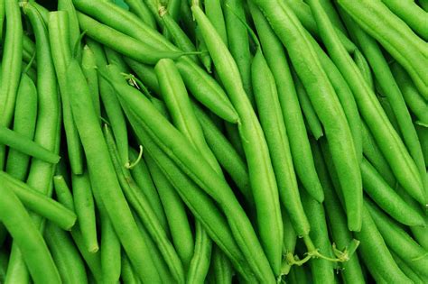 All About Green Beans How To Pick Prepare And Store Produce For Kids