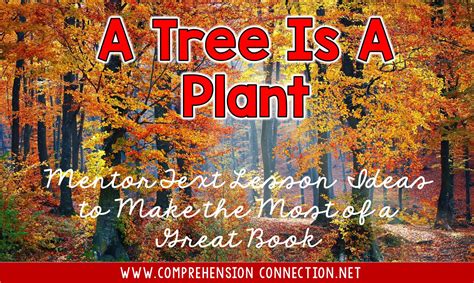 Using A Tree Is A Plant As A Mentor Text For Comprehension Skills
