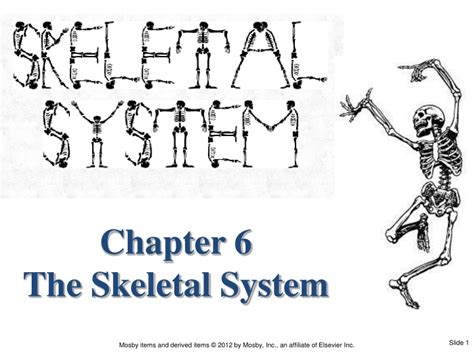Ppt Chapter 6 The Skeletal System Powerpoint Presentation Free