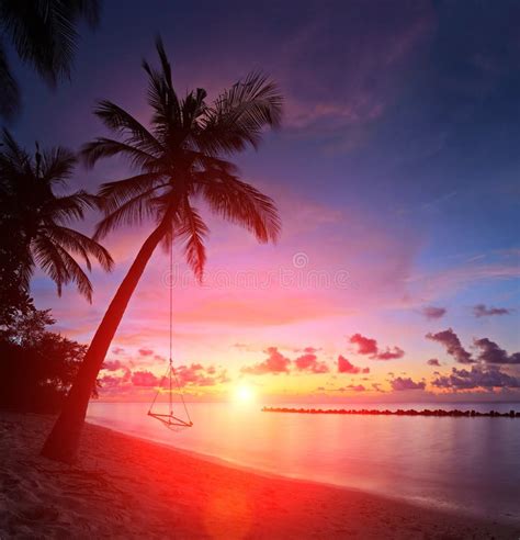 Ansicht Eines Strandes Mit Palmen Und Schwingen Bei Sonnenuntergang