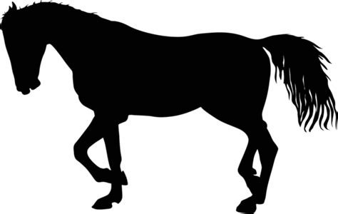 Silhouette Of Black Mustang Horse Vector Illustration Freedom Ride