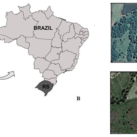Rea De Estudo A Mapa Da Am Rica Do Sul Com Destaque Para O Brasil E Download Scientific
