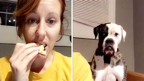 Dog Drools At Sight And Mention Of Food Youtube