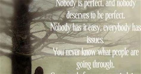 Nobody Is Perfect And Nobody Deserves To Be Perfect Nobody Has It