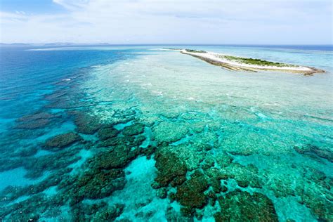 Aerial View Of Deserted Tropical Island On Coral Reef Loving Australia