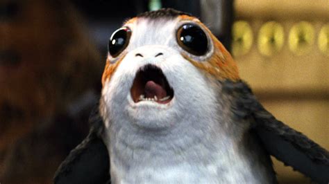 First Look At Baby Porgs In Star Wars The Last Jedi