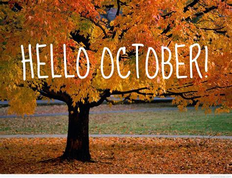 Hello October Fall Quotes Wallpapers Top Free Hello