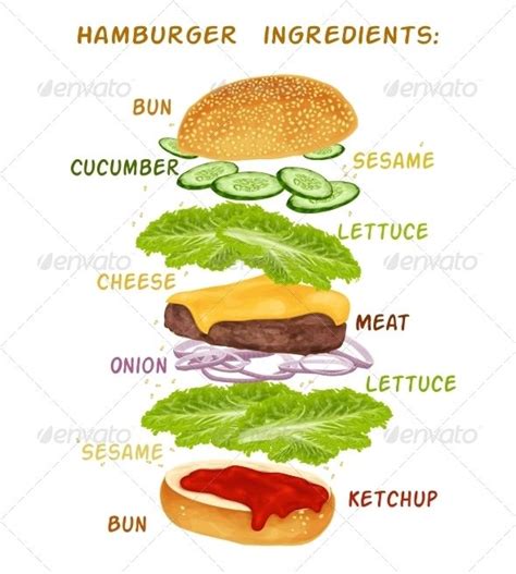 Hamburger Ingredients Set Food Infographic Sandwich Ingredients Diy