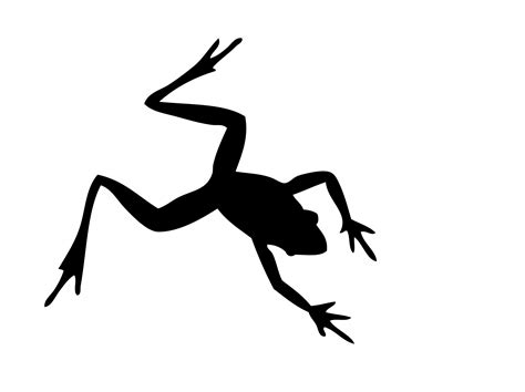 Frog Silhouette Free Stock Photo Public Domain Pictures