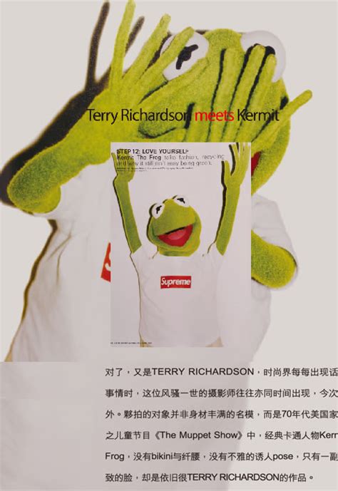 Supremekermit The Frogterry Richardson人文视觉艺术中国