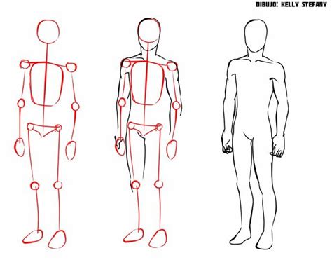 Porcion De Cuerpo Masculino Human Body Drawing Body Drawing