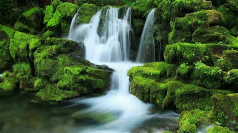 Waterfall Stream Between Algae Covered Rocks During Daytime HD Nature Wallpapers | HD Wallpapers ...