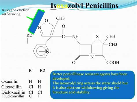 Penicillins By Dr Panchumarthy Ravisankar Mpharm Phd