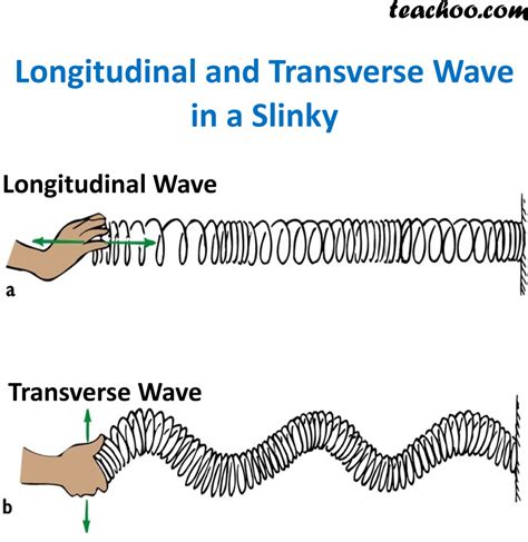 Longitudinal And Transverse Waves Explanation Difference Teachoo