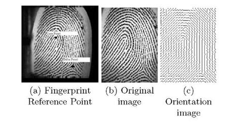 Accurate Localizations Of Reference Points In A Fingerprint Image