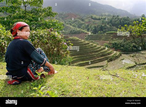 Tay Tribeswoman Ha Giang Province Vietnam Stock Photo Alamy