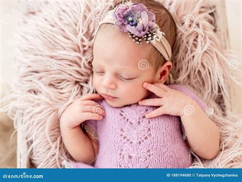 Sleeping Newborn Baby Girl Stock Photo Image Of Childcare 188194680