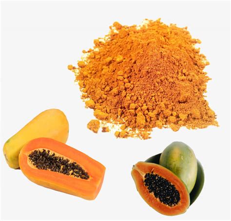 Natural Papaya Fruit Powder Online In India Pure And Trusted Product