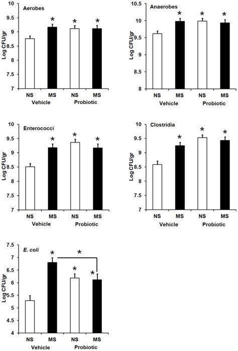 Effect Of Neonatal Maternal Separation Ms And Maternal Probiotic