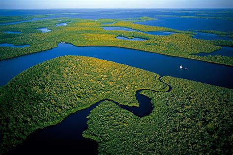 Things To Do In The Florida Everglades