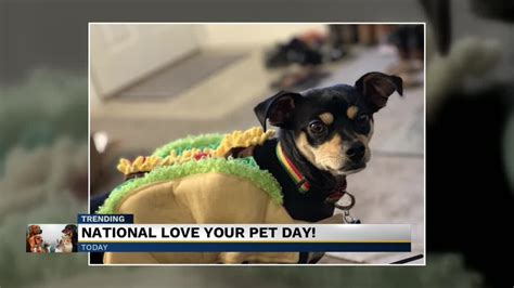 They are a big part of the family after all.… February 20 is National Love Your Pet Day