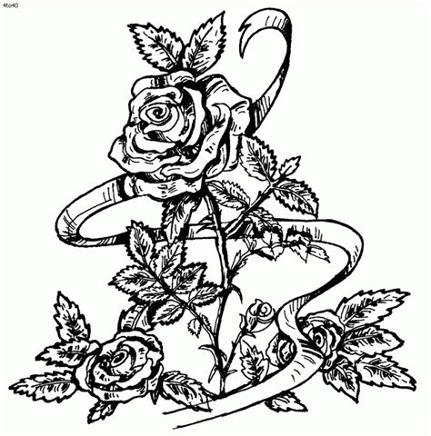 Free Roses Printable Adult Coloring Page The Graphics Fairy Get This Printable Roses Coloring