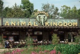 Sign Up for a Chance to Tour Backstage at Disney’s Animal Kingdom Theme ...