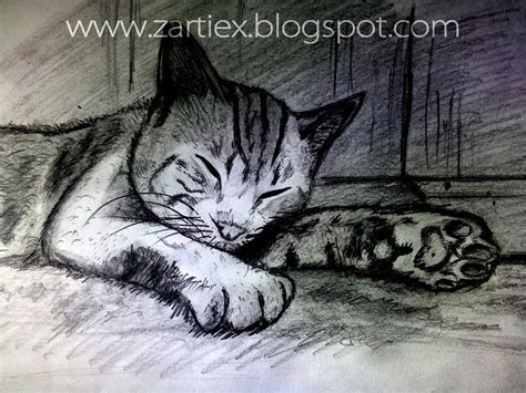 Dibujos De Gatos A Lapiz By Seenartseeds On Deviantart