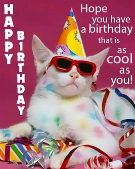 98 cats singing happy birthday ecard kentooz site