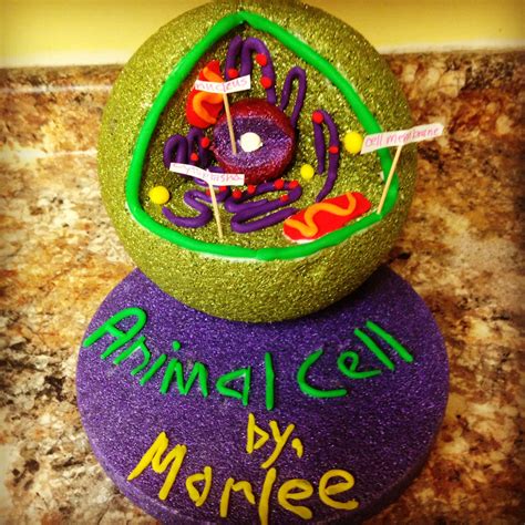 Animal Cell Project Cells Project Edible Cell Project Animal Cell