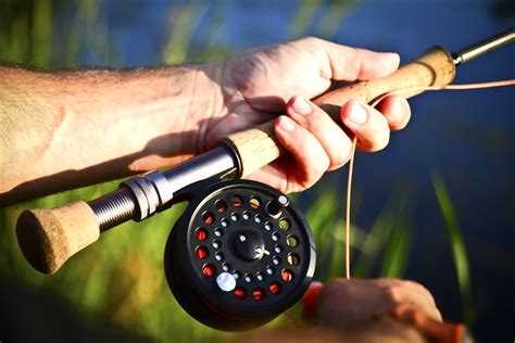 Cast Like A Pro Essential Fly Fishing Tips For Beginners To Hook The