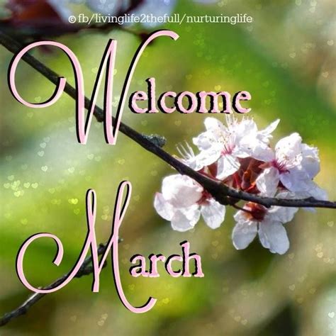 The Words Welcome March Are Written In Pink And White Letters On A