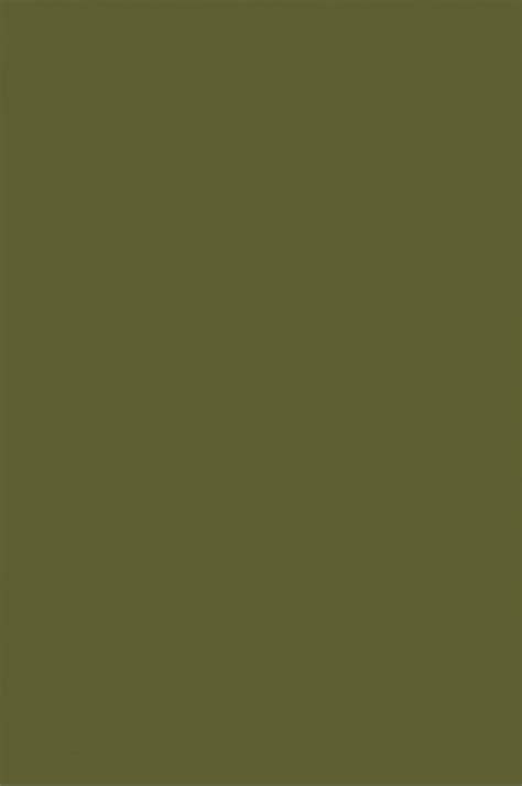Picasso Acrylic Color 569 Olive Green 75ml The Oil Paint Store