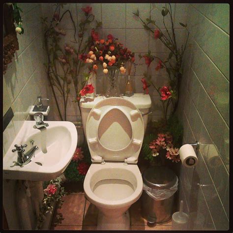 Could this be the most beautiful toilet in the world? (Could this be)
