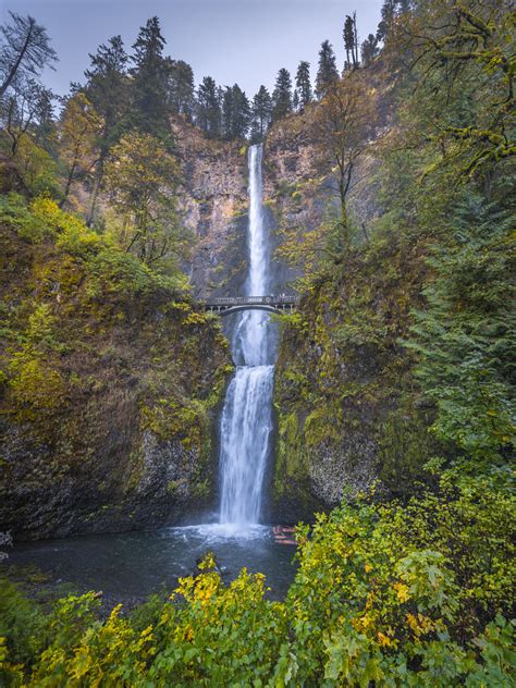 Multnomah Falls Columbia River Gorge Oregon Autumn Colors Fall Foliage