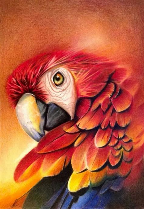 Maybe you would like to learn more about one of these? Parrots art, Parrot painting, Animal art