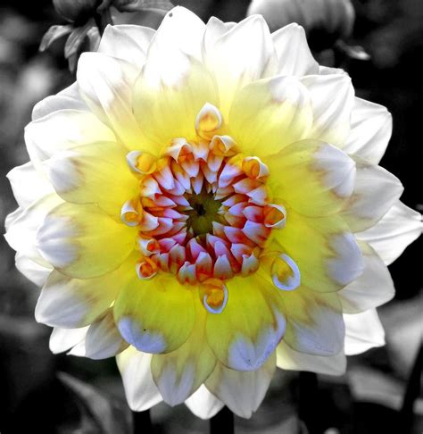 Colorwheel Photograph By Karen Wiles Pixels