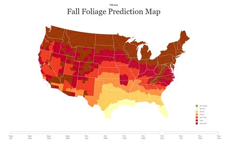 Peak Time For Fall Leaves In Jasper Arkansas 2022 —