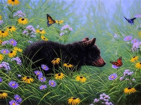 Butterflies And Black Bear Paintings Spring Summer Butterflies Love