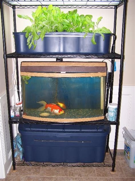 Aquaponic Indoor How To Build Your Organic Gardening Cruise