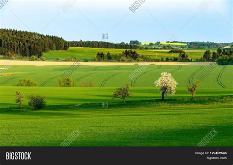 Beautiful Green Sping Image And Photo Free Trial Bigstock