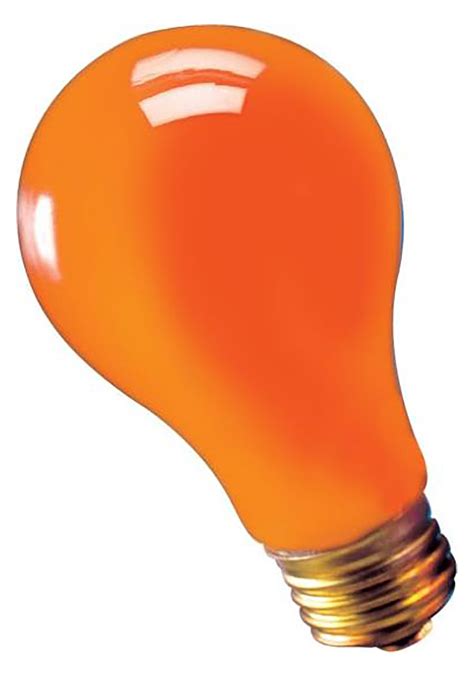 Orange 75w Light Bulb Decoration