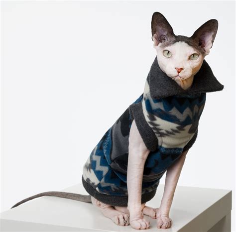 Cat Apparel Archives Sphynx Cat Wear Sphynx Cat Clothes Cute
