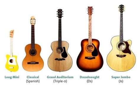 Different Types Of Acoustic Guitar Rcoolguides