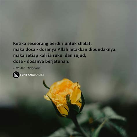 S elain oksigen dan air, ternyata manusia hidup juga butuh sahabat. Pin oleh L di Yuk hijrah di 2020 | Kutipan persahabatan terbaik, Agama, Kutipan agama