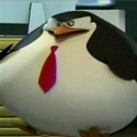 Fat Penguin Blank Template Imgflip